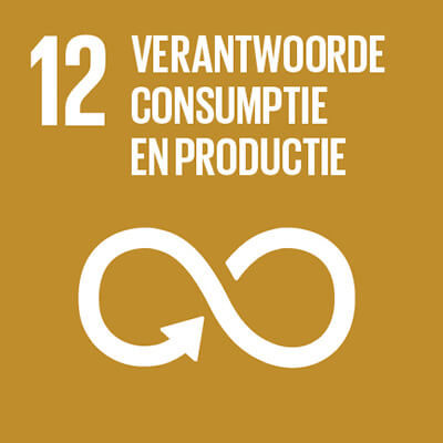 SDG 12: Verantwoorde consumptie en productie